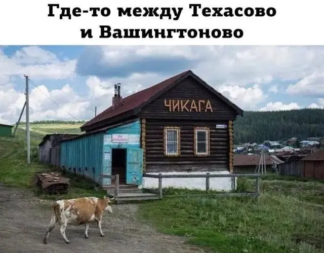 Случайные кадры из сети, которые цепляют взгляд