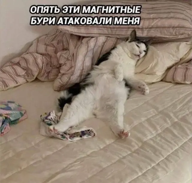 Случайные картинки для короткого перерыва