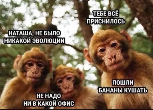 Смешные мемы на все случаи жизни