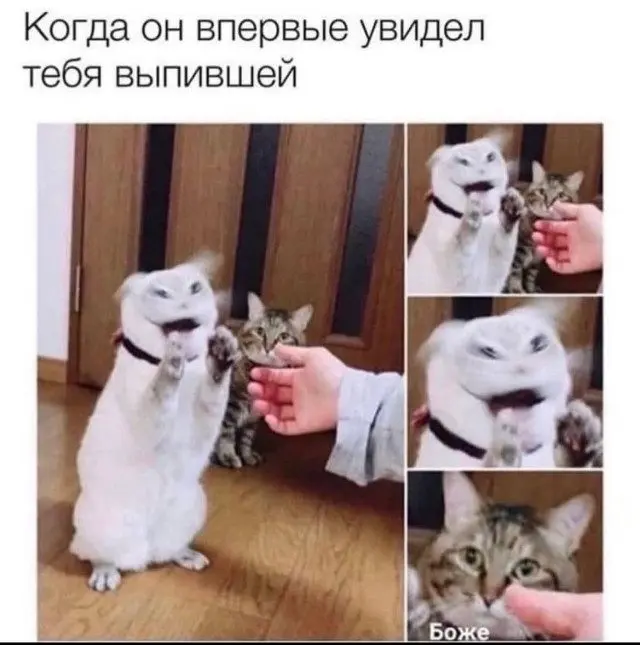 Смешные мемы на все случаи жизни