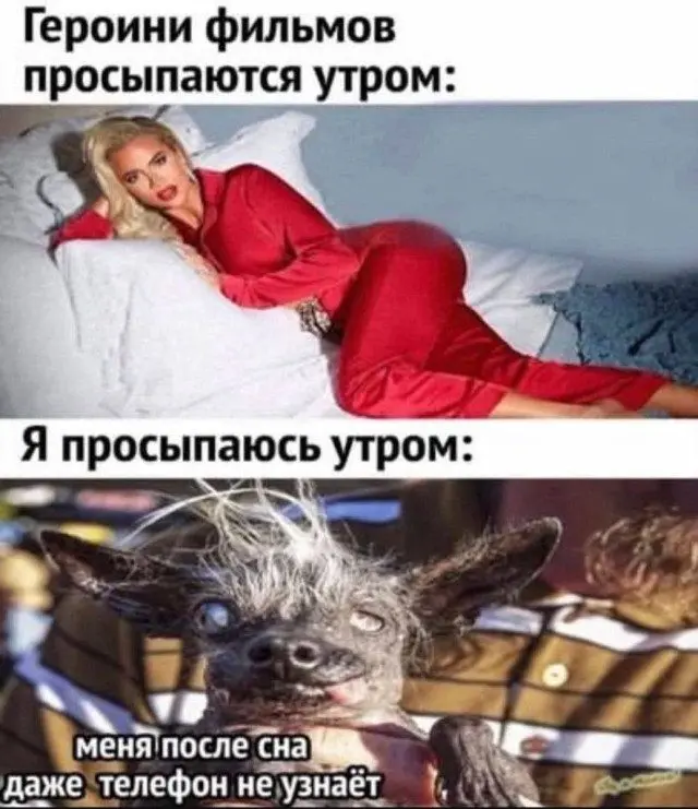 Смешные мемы на все случаи жизни