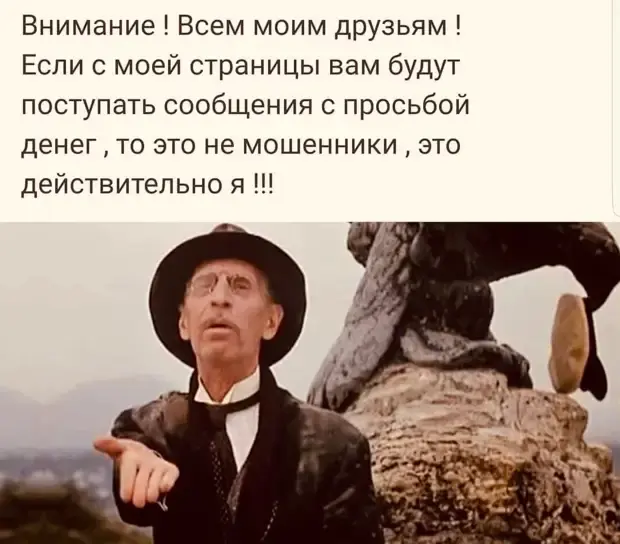 Забавные истории из жизни: от откормленного кота до марсохода в Узбекистане