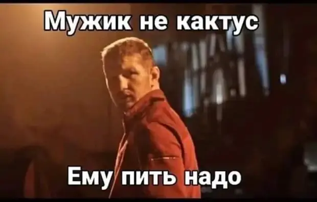 Забавные истории из жизни: от откормленного кота до марсохода в Узбекистане