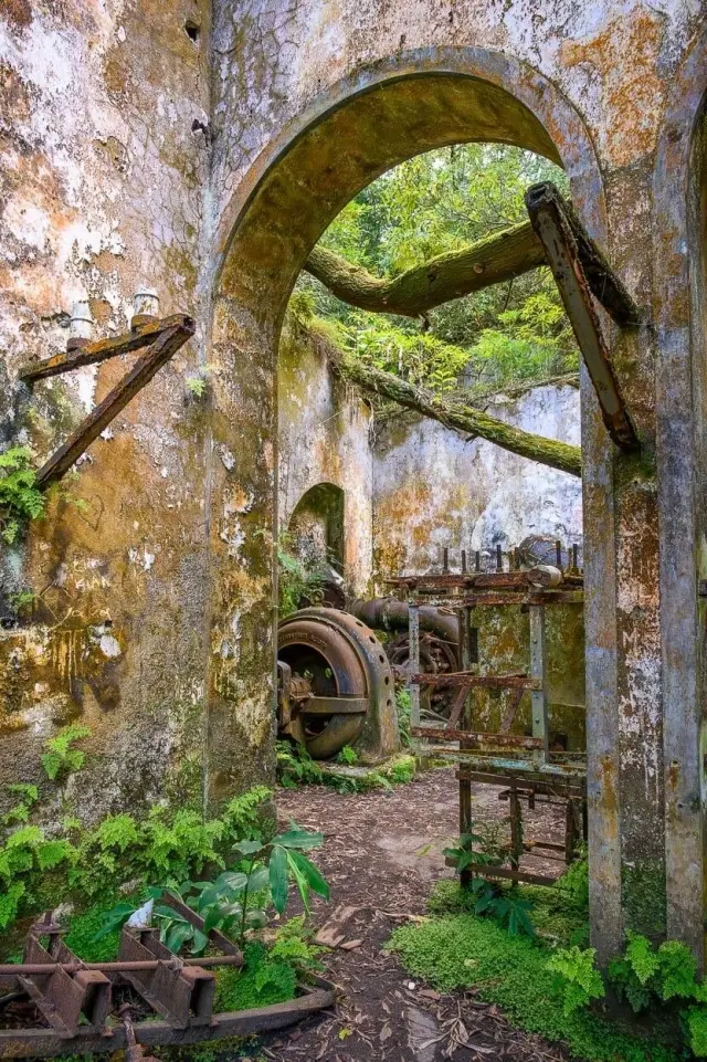 Застывшее время: величественная и меланхоличная атмосфера заброшек