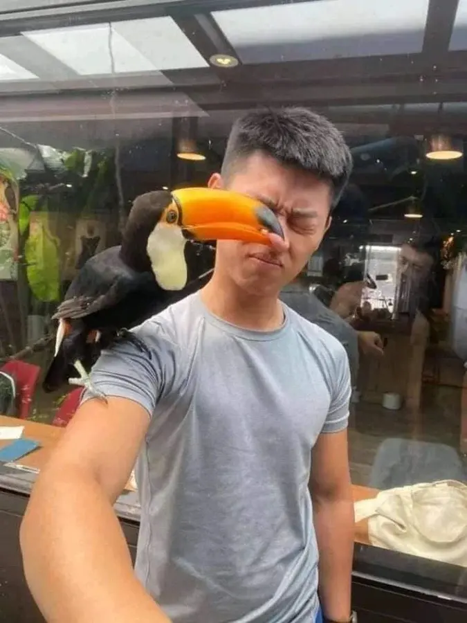 Невозмутимая дерзость питомцев: 17 фото, доказывающих, кто в доме хозяин