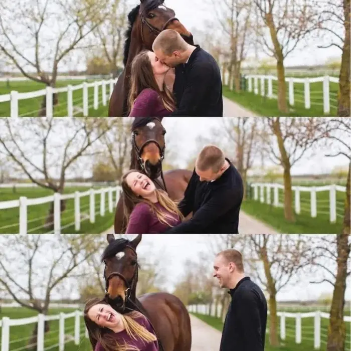 Невозмутимая дерзость питомцев: 17 фото, доказывающих, кто в доме хозяин