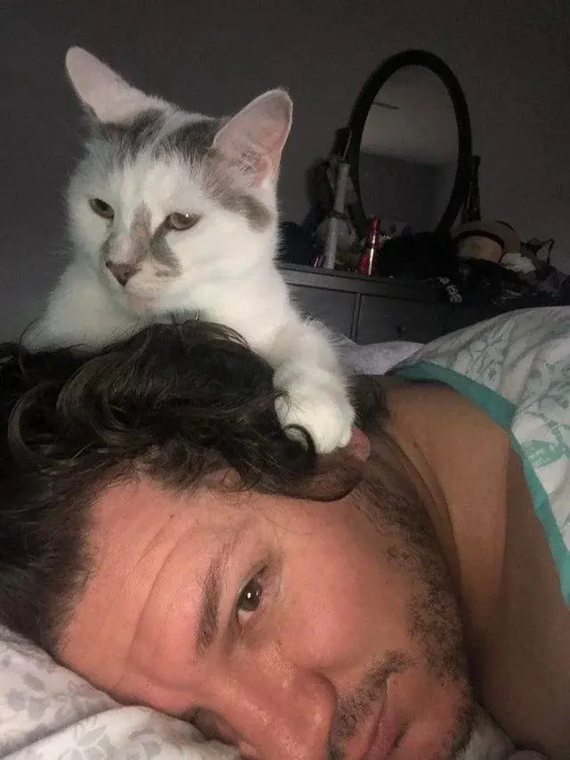 Невозмутимая дерзость питомцев: 17 фото, доказывающих, кто в доме хозяин