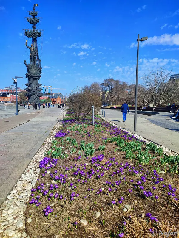 Первые вестники весны: цветы, которые уже готовы фотографироваться