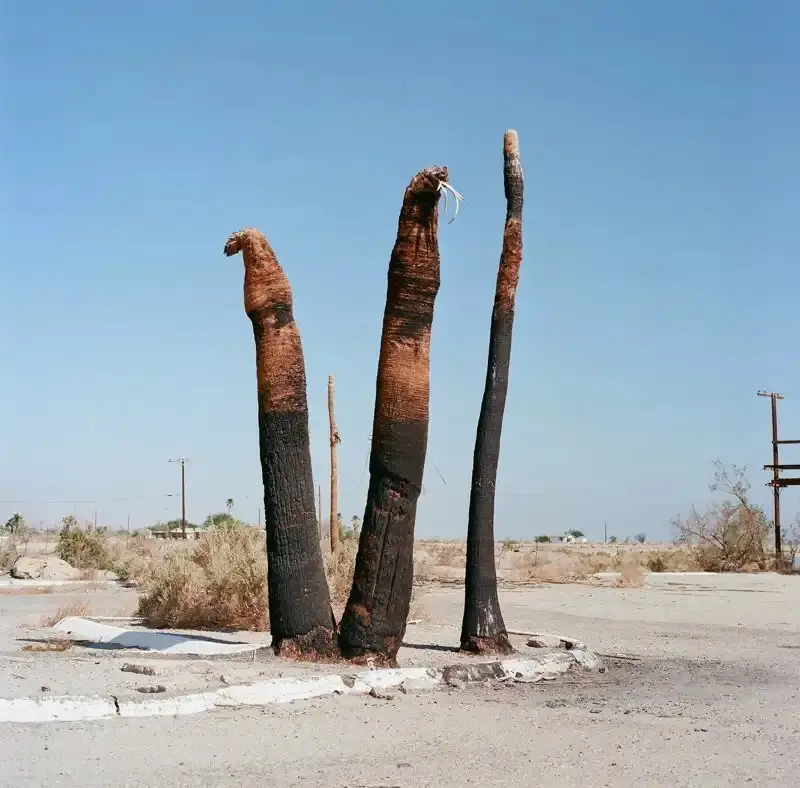 Калифорния в квадрате: Провинциальные пейзажи в объективе Тома Ронка