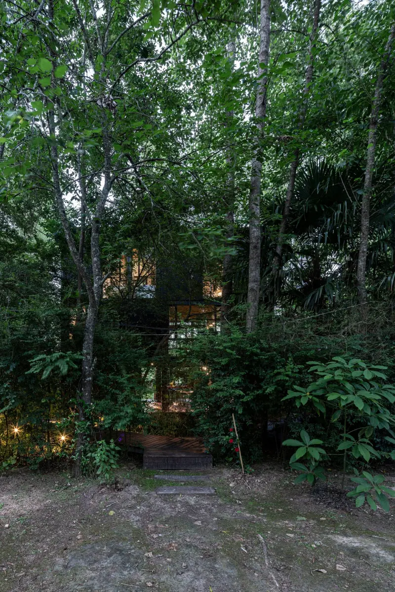 Дом Боу: Архитектурная загадка в сердце дельты Параны