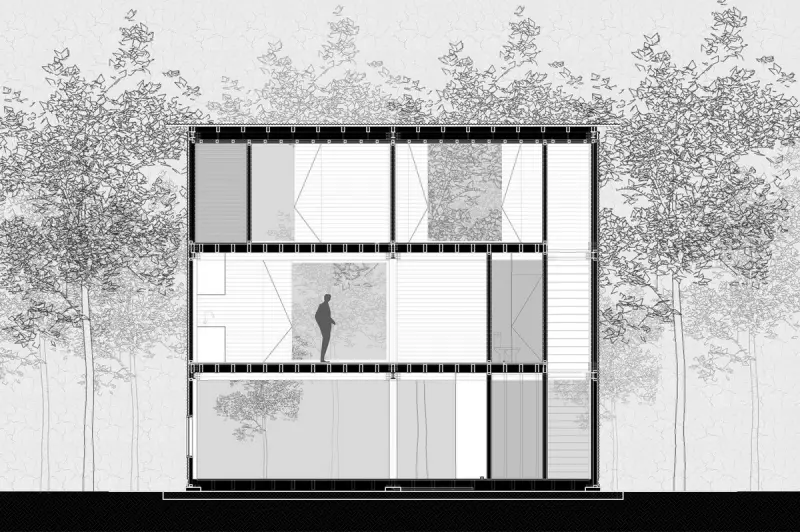 Дом Боу: Архитектурная загадка в сердце дельты Параны