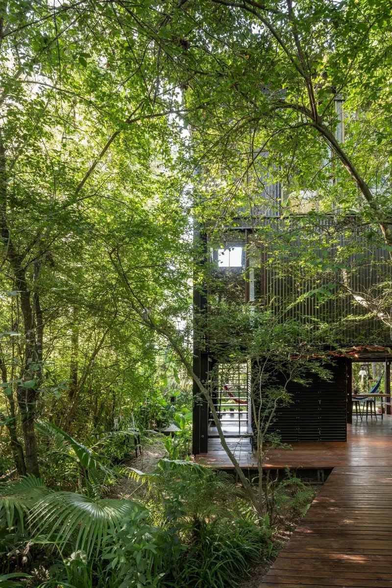 Дом Боу: Архитектурная загадка в сердце дельты Параны