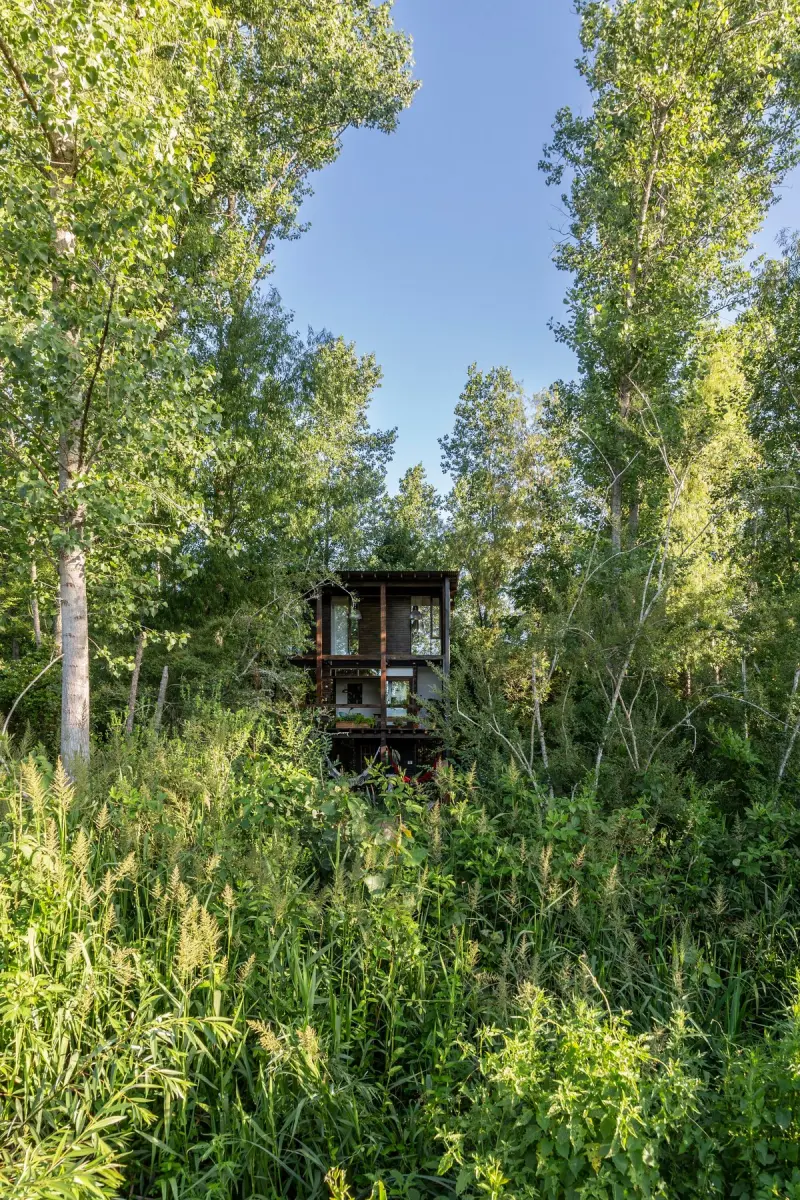 Дом Боу: Архитектурная загадка в сердце дельты Параны