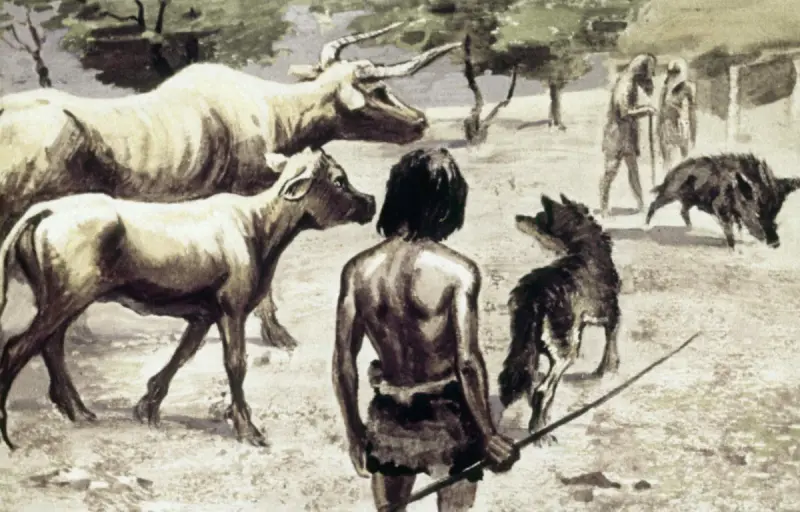 Древний рисунок пастуха с коровами