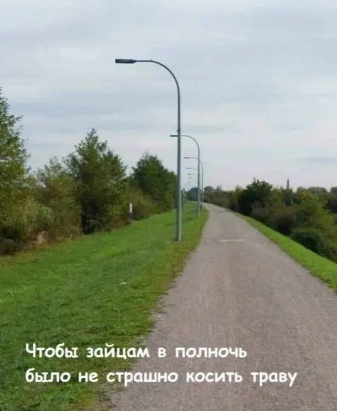 Свежая порция смеха: лучшие мемы и приколы для поднятия настроения