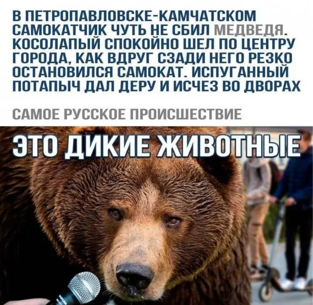 Свежая порция смеха: лучшие мемы и приколы для поднятия настроения