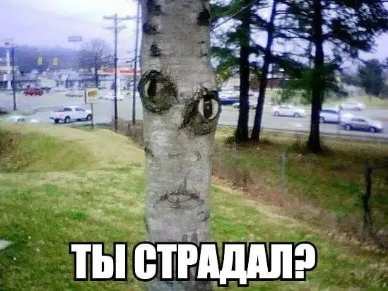 Свежая порция смеха: лучшие мемы и приколы для поднятия настроения