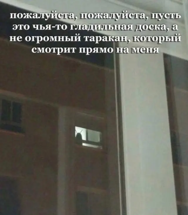 Свежая порция смеха: лучшие мемы и приколы для поднятия настроения