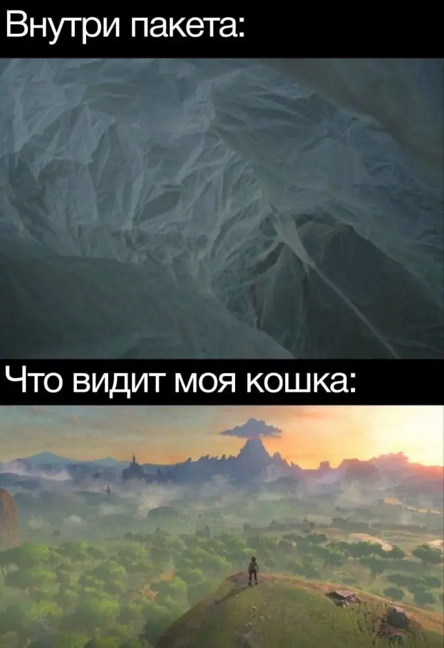 Свежая порция смеха: лучшие мемы и приколы для поднятия настроения