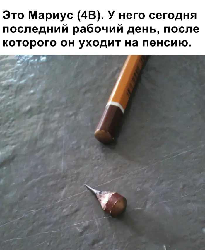 Свежая порция смеха: лучшие мемы и приколы для поднятия настроения