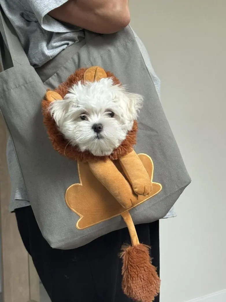 Самые обаятельные и хулиганистые собаки