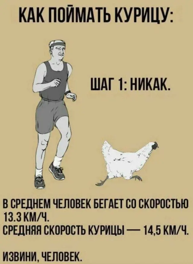 Бунт против скуки: мемы, которые не подчиняются логике