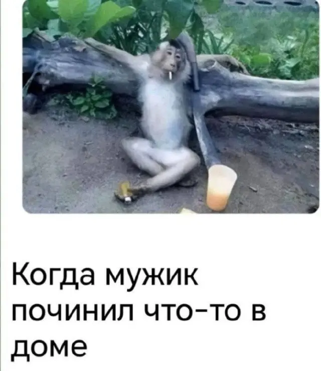 Бунт против скуки: мемы, которые не подчиняются логике