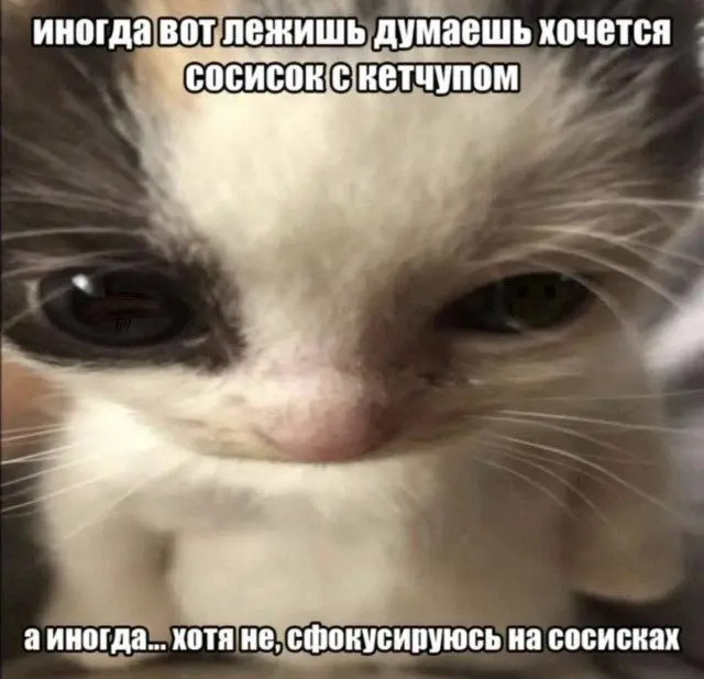 Бунт против скуки: мемы, которые не подчиняются логике