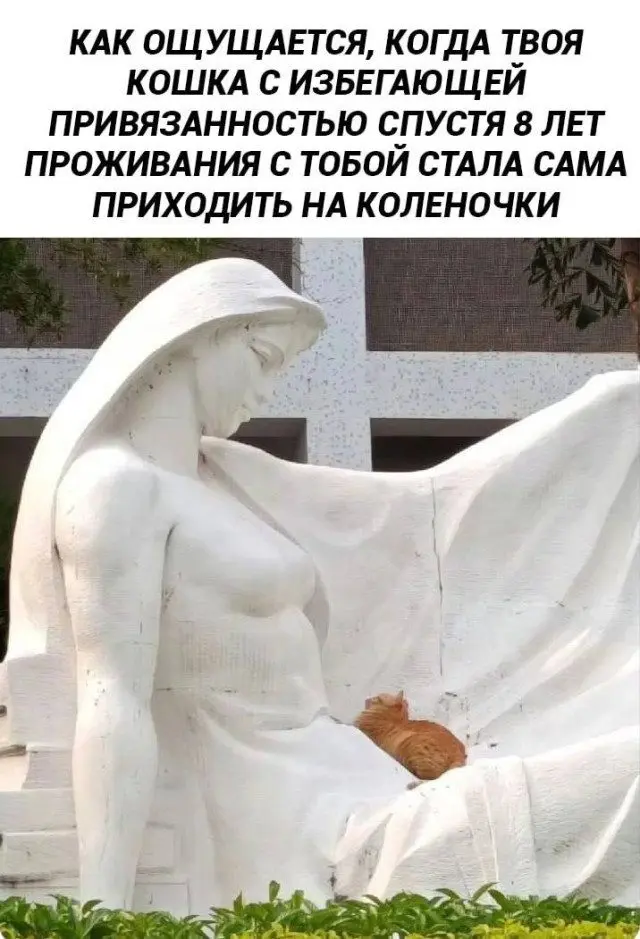 Бунт против скуки: мемы, которые не подчиняются логике