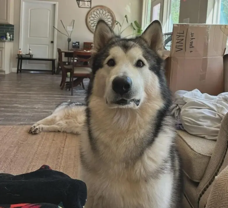 Иллюзии перспективы: 20 фото, которые обманывают ваш мозг Иллюзии перспективы: 20 фото, которые обманывают ваш мозг