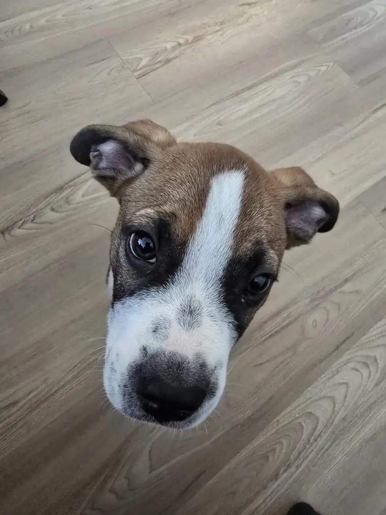 Иллюзии перспективы: 20 фото, которые обманывают ваш мозг