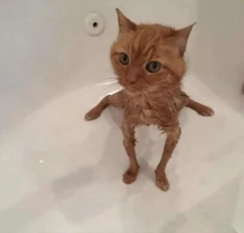 Иллюзии перспективы: 20 фото, которые обманывают ваш мозг