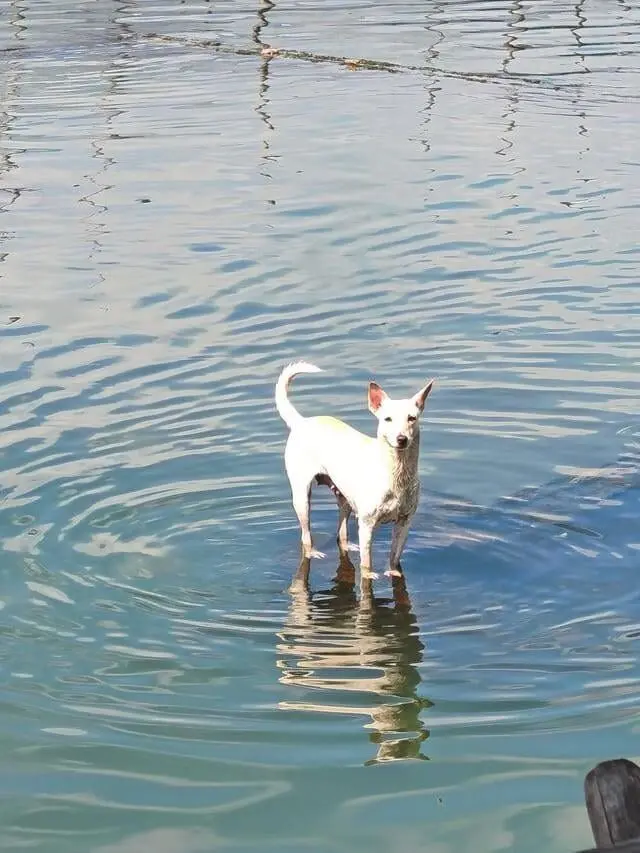 Иллюзии перспективы: 20 фото, которые обманывают ваш мозг