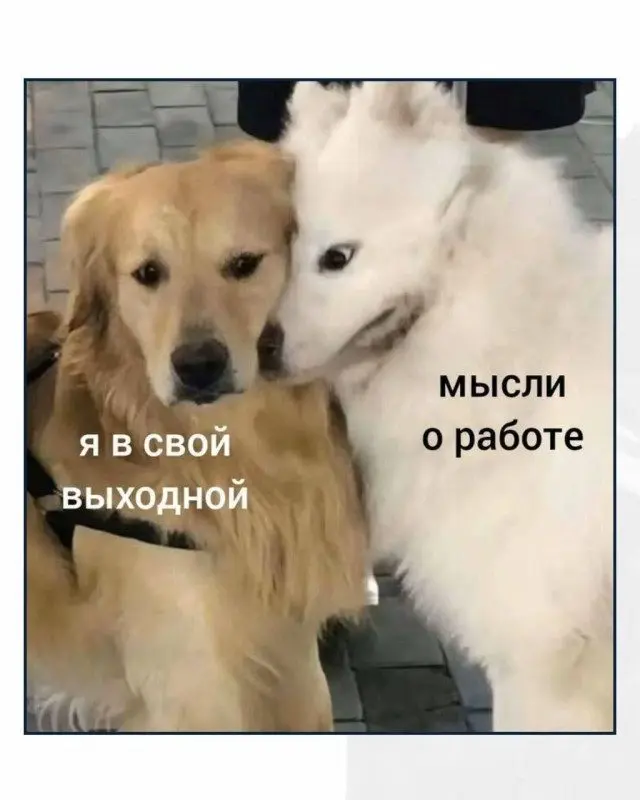 Смех сквозь сны: случайная подборка приколов