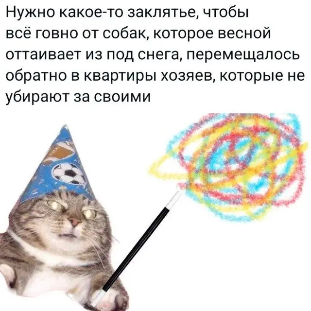 Смех сквозь сны: случайная подборка приколов