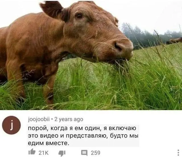 Смех сквозь сны: случайная подборка приколов