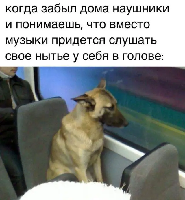 Смех сквозь сны: случайная подборка приколов