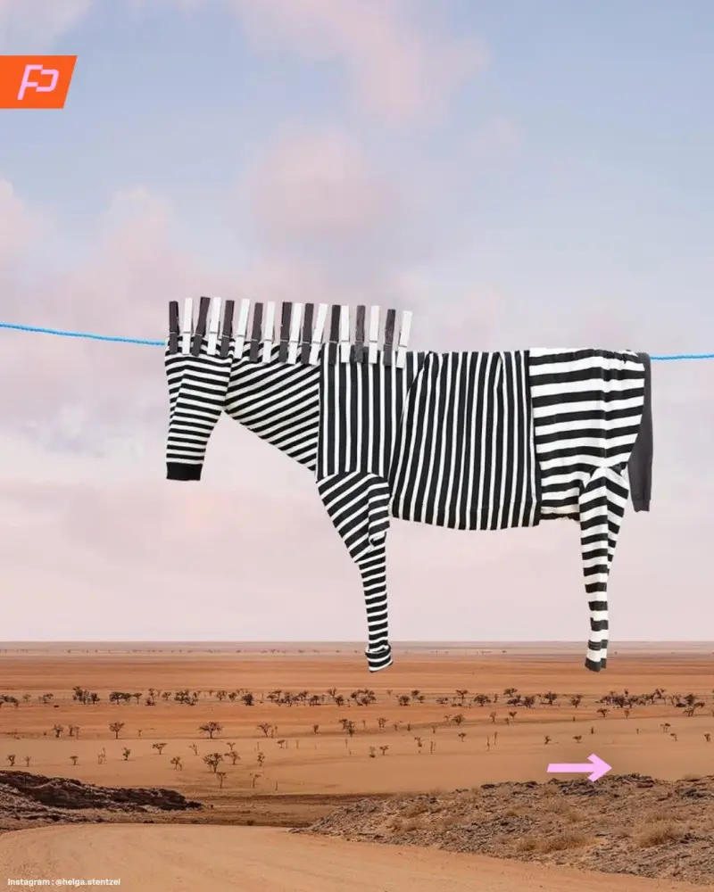 Бытовой сюрреализм: животные из одежды на бельевых веревках