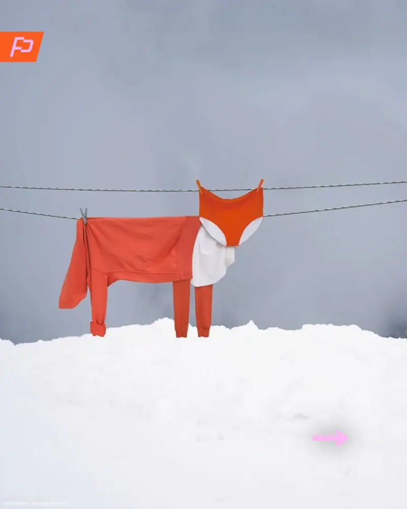 Бытовой сюрреализм: животные из одежды на бельевых веревках