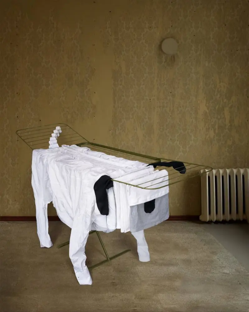 Бытовой сюрреализм: животные из одежды на бельевых веревках