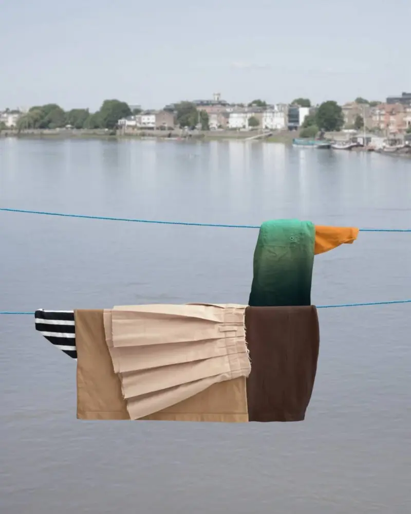 Бытовой сюрреализм: животные из одежды на бельевых веревках