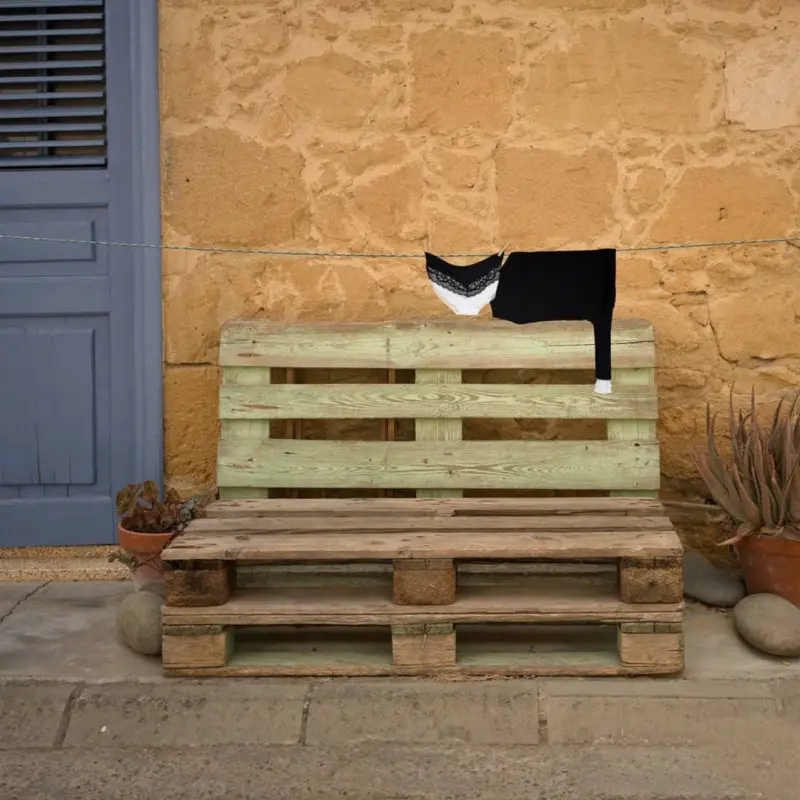 Бытовой сюрреализм: животные из одежды на бельевых веревках