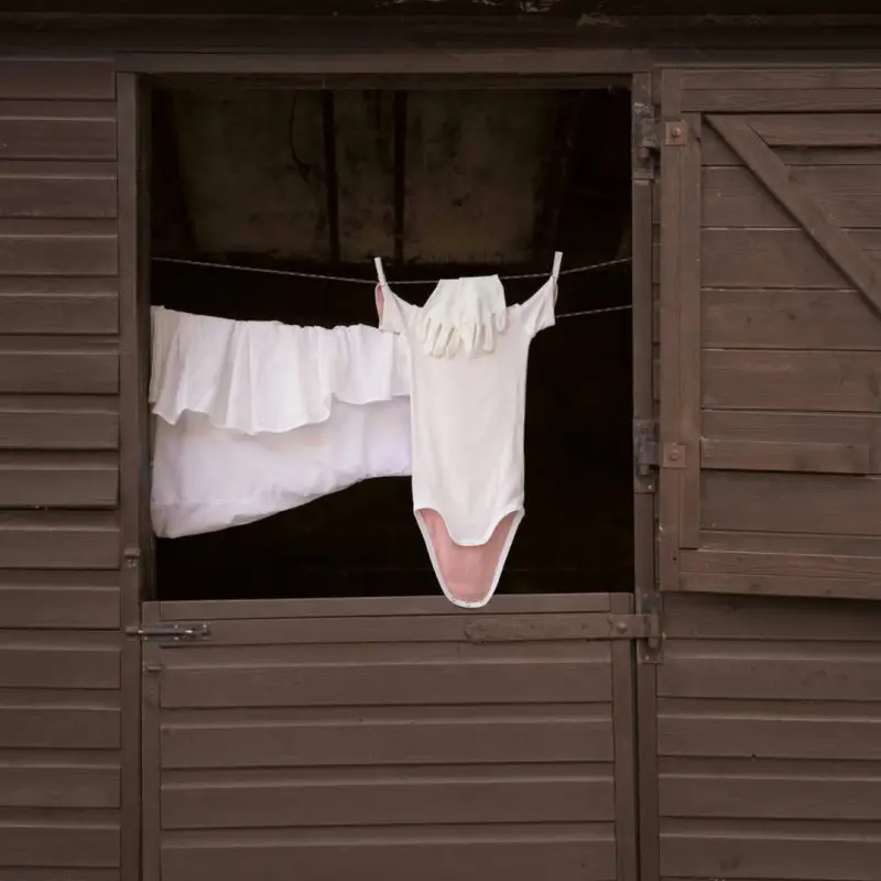 Бытовой сюрреализм: животные из одежды на бельевых веревках