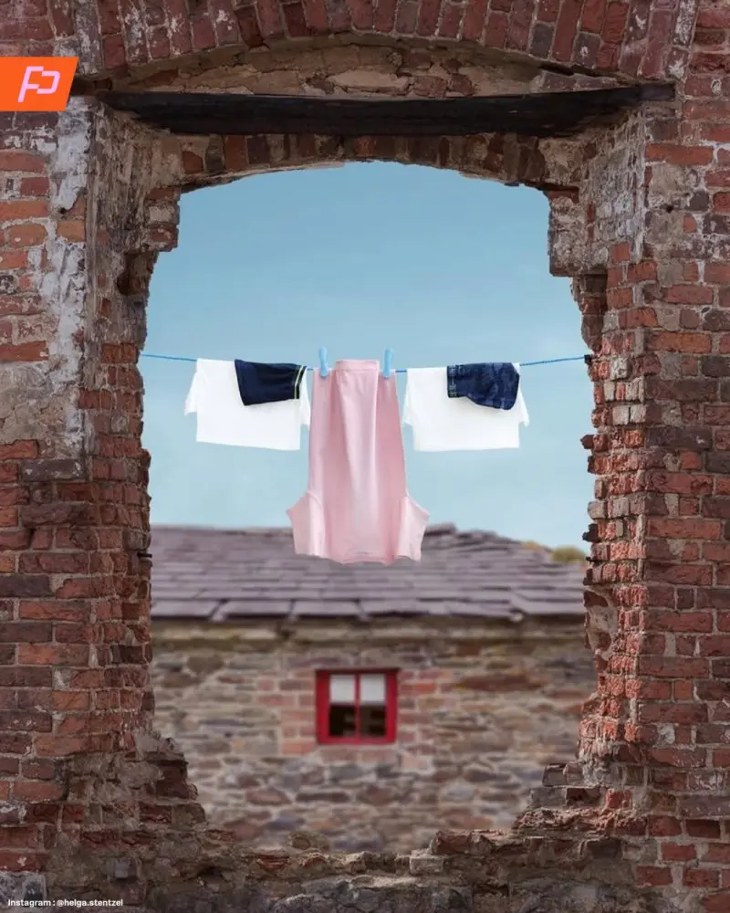 Бытовой сюрреализм: животные из одежды на бельевых веревках