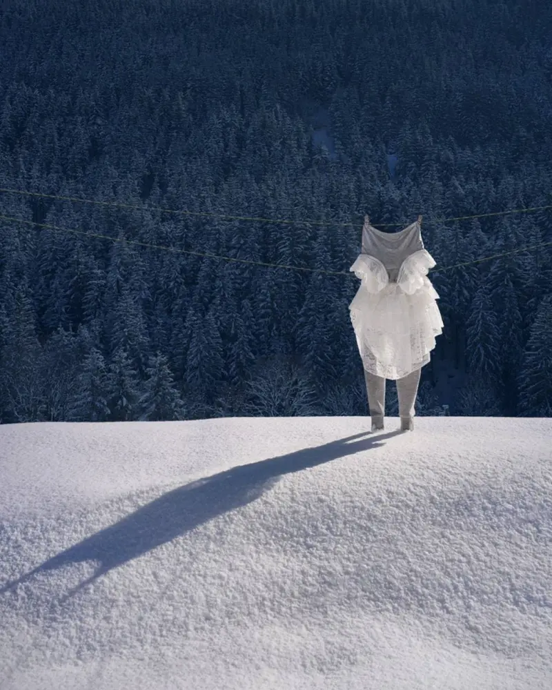 Бытовой сюрреализм: животные из одежды на бельевых веревках