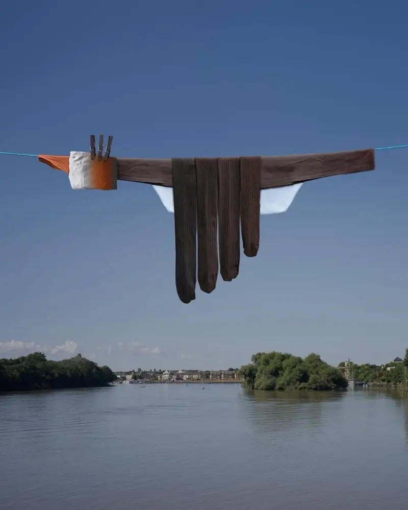 Бытовой сюрреализм: животные из одежды на бельевых веревках