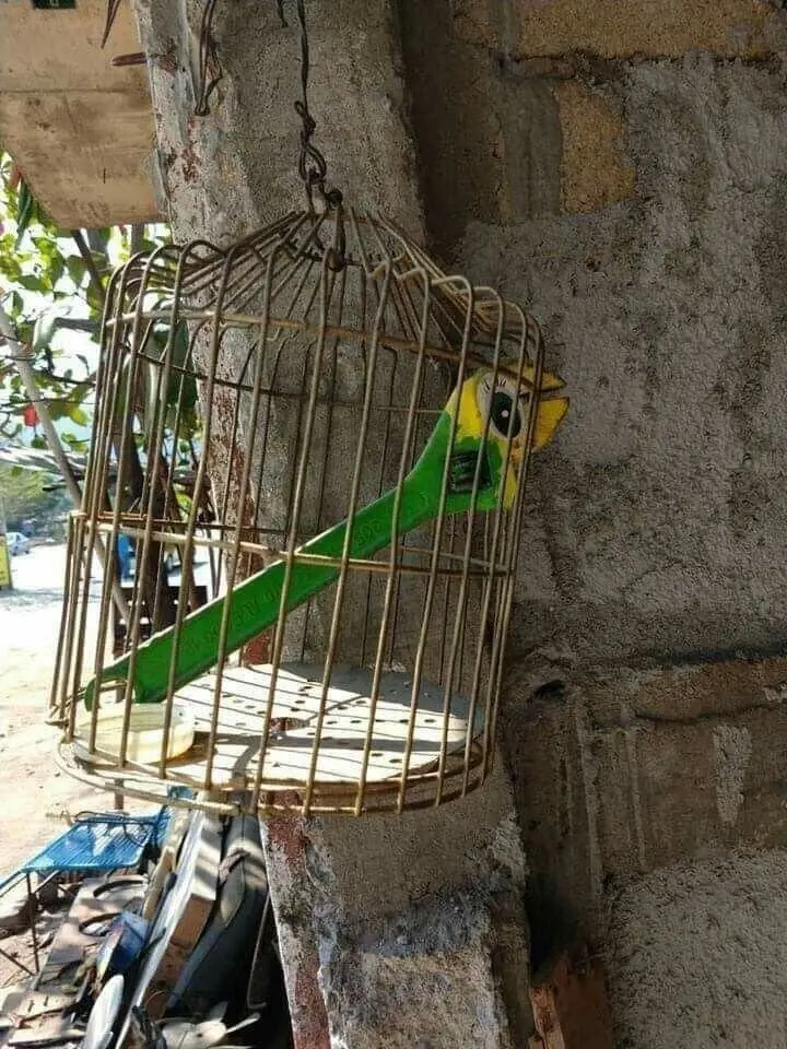 Мир, который умеет дурачиться: 28 фото, от которых становится весело