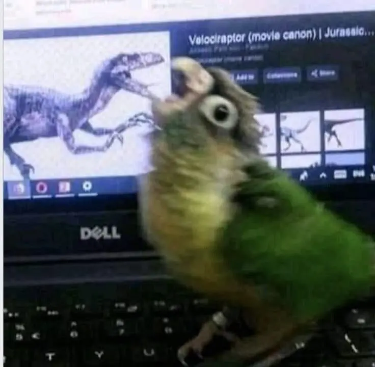 Мир, который умеет дурачиться: 28 фото, от которых становится весело