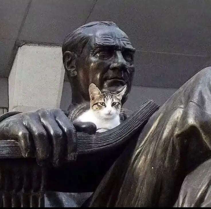 Мир, который умеет дурачиться: 28 фото, от которых становится весело