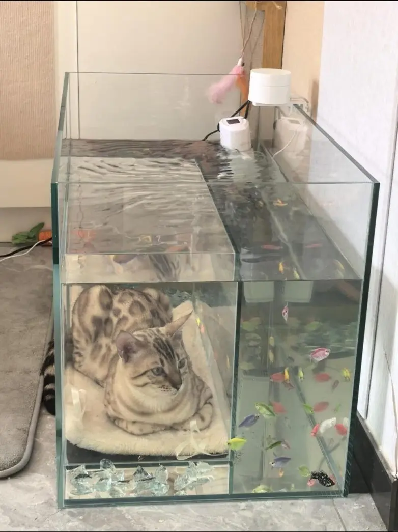 Мир, который умеет дурачиться: 28 фото, от которых становится весело